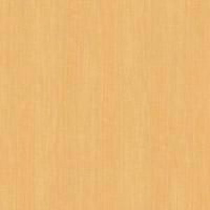 JbeBOV[g _CmbNV[g ؖڒ 3M X[G JbeBOV[g WG-250 WG250 _CmbNtB