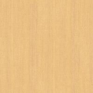 JbeBOV[g _CmbNV[g ؖڒ 3M X[G JbeBOV[g WG-835 WG835 _CmbNtB