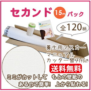 �ǎ� �� �� ���� �\��� �ǎ� ���̂�� �N���X �V���R�[�� SLP393-S15 ���̂�t���ǎ�(REROOM)