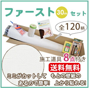 ǎ    \ ǎ ̂ 30m NX VR[ SLP393-F30 ̂tǎ Ƃ̕ǎɏd˓\OK! {REROOM}