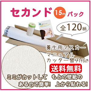 �ǎ� �� �� ���� �\��� �ǎ� ���̂�� �N���X �V���R�[�� SLP348-S15 ���̂�t���ǎ�(REROOM)