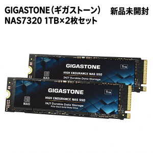 �y2���Z�b�g�zGIGASTONE GS-PCIe-SSD-NAS7320-1TB-2PK-B ����SSD 1TB×2 M.2 2280 PCIe 3.0 x4 NVMe NAS���� �q�[�g�V���N�Ȃ� �V�i