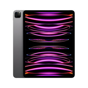 yKizApple 12.9C` iPad Pro(M2)Wi-Fif MNXY3J/A@2TB Xy[XOC @ViJ