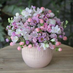 RƉԃAWg 4,980~@@/ ԑ  Mtg LO  a j    TvCY@ sN@CG[IW zCgO[