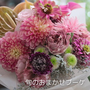 {̂܂u[P @6,600~@ԑ  Mtg LO  a j    TvCY  sN CG[ IW zCg O[