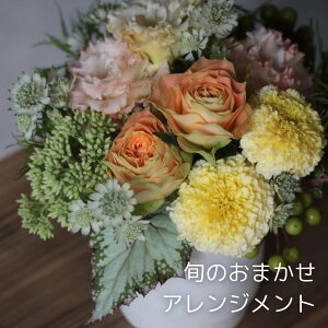 {̂܂AWg ̓  3,960~/ ԑ  Mtg LO  a j    TvCY  sN CG[ IW zCg O[