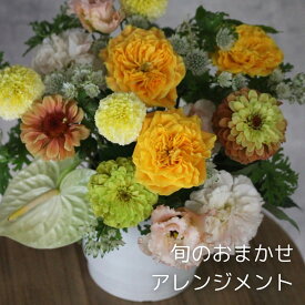 旬のおまかせアレンジメント 送料込み　6,600円/ おしゃれ ギフト 記念日母の日 父の日 送別 誕生日 お祝い お供え お中元 生花 サプライズ 花 ピンク イエロー オレンジ ホワイト グリーン