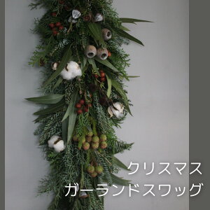 K[hXbO NX}X  9890~   Mtg NX}X O[ { tbV hCł