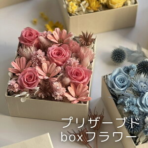 BoxAWg vU[uhAWg {bNXt[ o  Mtg v[g LO  a j   vU[uh TvCY  