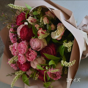 [Yu[PbRESEDA˂AXC[gsN̉ԑiS/M/LTCYjb N[֖ o ԑ a LO JXj v[g Mtg hV̓