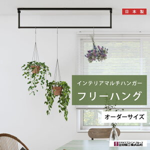 }`nK[ y t[nO z y 1cmP I[_[ z    ACAo[ EH[nK[ nMOo[  CeA [ X^h V 