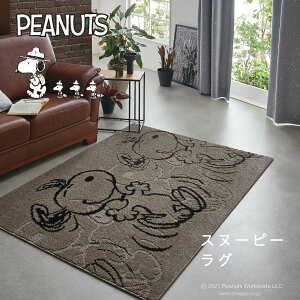 y Xk[s[ O z PEANUTS SNOOPY k I[_[ EbhXgbN  킢 { h_j zbgJ[ybgΉ ϔM Vііh~ rO X~mG