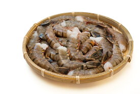 冷凍ブラックタイガー海老 1.8kg 21/25サイズ 頭なし・殻付き