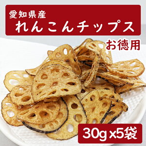 レンコン畑で作った 愛知県産 れんこんチップス 化学調味料不使用 無添加 おやつ おつまみに 5袋セット【送料無料】食べきりサイズ ちょうどいい サラダのトッピング 低カロリー サクサク
