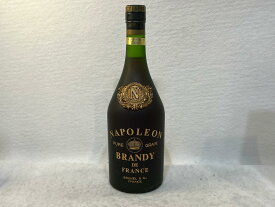 【未成年の飲酒は法律で禁じられています】ナポレオンブランデー700ml40度ブルネルフロスティボトル