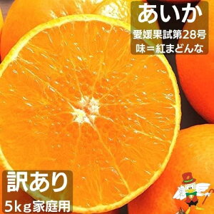 yzy󂠂zyYnz 󂠂5L@g܂ǂ Qʎ28