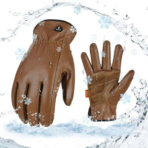 [Vgo...] ϔMO[u Ǝ \ ĂԂ   [NO[u w Ɨp K[ v ϖ ~ Y v ~ h Lv BBQ gQh~(CA71