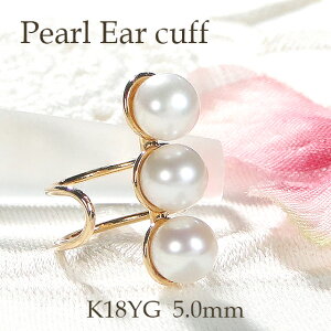 K18YG Wp[ C[JtyЎpzy5.0mmz yzy萔zyiۏ؏z18 CJt mz[sAX fB[X WG[ Y LL ^ C[Nbv 3