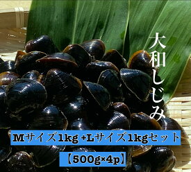 【10%OFF！ポイント2倍！4日20時～11日1:59迄】宍道湖 大和しじみ 光輝 MLサイズセット 冷凍 2kg 500g×4 砂抜き済 大粒 しじみ 島根 出汁 味噌汁 シジミ お取り寄せ 贈り物