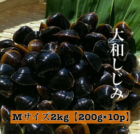 宍道湖 大和しじみ 光輝 Mサイズ 冷凍 2kg 200g×10 砂抜き済 大粒 しじみ 島根 出汁 味噌汁 シジミ お取り寄せ 贈り物