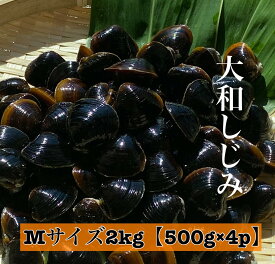 宍道湖 大和しじみ 光輝 Mサイズ 冷凍 2kg 500g×4 砂抜き済 大粒 しじみ 島根 出汁 味噌汁 シジミ お取り寄せ 贈り物