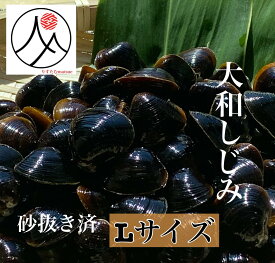 宍道湖 大和しじみ 光輝 Lサイズ 冷凍 砂抜き済 国産 大粒 しじみ 島根 出汁 味噌汁 シジミ お取り寄せ 贈り物