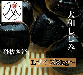 宍道湖 大和しじみ 光輝 Lサイズ2kg～ 冷凍 砂抜き済 国産 大粒 しじみ 食品 貝 島根 出汁 味噌汁 シジミ お取り寄せ 贈り物 ギフト