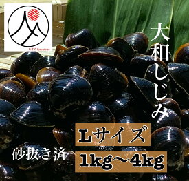 宍道湖 大和しじみ 光輝 Lサイズ 冷凍 砂抜き済 国産 大粒 しじみ 島根 出汁 味噌汁 シジミ お取り寄せ 贈り物