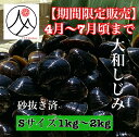 【4月～7月だけの期間限定販売】宍道湖 大和しじみ 光輝 Sサイズ 冷凍 1kg～2kg 砂抜き済 国産 大粒 しじみ 食品 貝 …