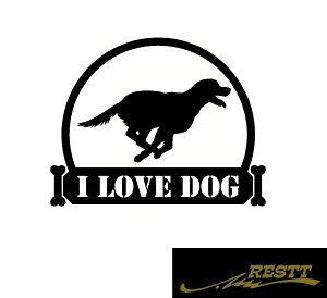 ACuhbO@ver.S[fgo[@CXg@S@JbeBOXebJ[@TCY@@hXAbv@킢@fUC@@Ck@ʁ@dog@R[M[