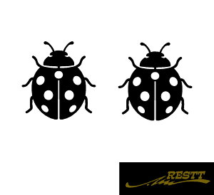 yz egEV CXg S JbeBOXebJ[ TCY 21Zbg  hXAbv 킢 fUC VGbg ĂƂ ĂƂ