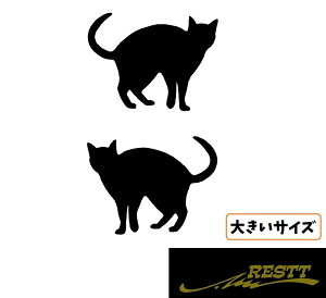 傫TCY lR VGbg ver.4 S JbeBOXebJ[ 21Zbg 44cm  fUC 킢 fUC XebJ[ ˂ L cat Lbg