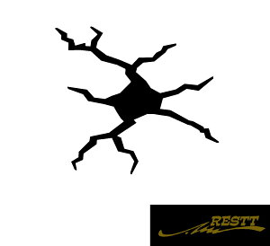 Ђъ@S@ver.2@JbeBOXebJ[@TCY@XebJ[  @AEghA@Ă@fUC@댯@hR@^]@킢@fUC@ԁ@AK