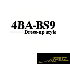 レガシィアウトバック　4BA-BS9　DBA-BS9　ドレスアップスタイル　ロゴ　カッティングステッカー　小サイズ　2種類から選べる　おしゃれ　デザイン　かっこいい　ステッカー　スバル　SUBARU　型式