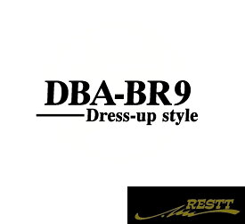 レガシィアウトバック　DBA-BR9　DBA-BRF　DBA-BRM　ドレスアップスタイル　ロゴ　カッティングステッカー　大サイズ　3種類から選べる　おしゃれ　デザイン　かっこいい　ステッカー　スバル　SUBARU　型式
