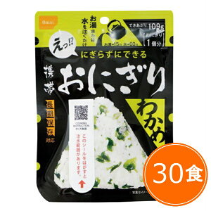 y5Nۑžgтɂ 킩߁iɂ1×30܁jP[X̔ ۑH At@