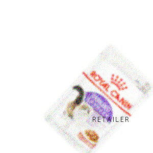 85g × 12ܓ(royalcanin) CJiXeACYh EFbg(H~ADEő₷LpEFbgt[h Lp) 85g × 12ܓ(LpEFbgt[h)(Lbgt[h)(ybgt