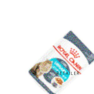 85g × 12ܓ(royalcanin) CJii[ PA EFbg(NȔAێLpEFbgt[h Lp) 85g × 12ܓ(LpEFbgt[h)(Lbgt[h)(ybgt[h)