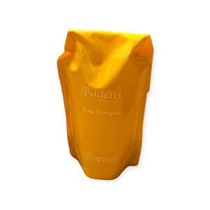 yARXeBbNЁzBadens o[fXA}Vv[ (gsJ)lւ500ml(Vv[)(lւ)