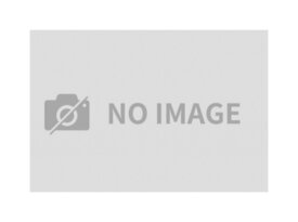 【イースター株式会社】Vet‘sSelection ベッツセレクション 消化器ケア 犬用 1.8kg(600g×3袋)(ドッグフード)(ドライフード)(犬用療法食)