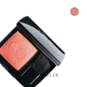  #439yChristian DiorzNX`fBI[fBI[XL [W ubV #439 zC mbgpE_[`[N`[NJ[OEFA`[NCN