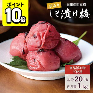 y|Cg10{z~ IB썂~ Ђ F Y 1kg 20 󂠂 Y 嗱 ̂Ȃ̔~ y