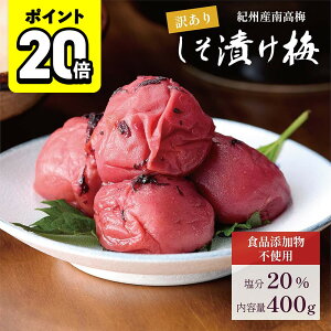 y|Cg20{z~ IB썂~ Ђ F Y 400g 20 󂠂 Y 嗱 ̂Ȃ̔~ y