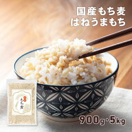 【19日20時〜ポイント5倍】味楽堂 もち麦 900g 5kg 国産 もちむぎ 福井県産 はねうまもち 雑穀 白米に混…