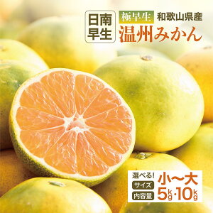 y ݂ 5kg 10kg ɑ a̎RY EETCY 쑁 B݂ k ʕ   t[c