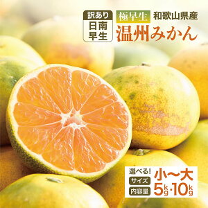 y ݂ 󂠂 5kg 10kg ɑ a̎RY EETCY 쑁 B݂ k ʕ   t[c