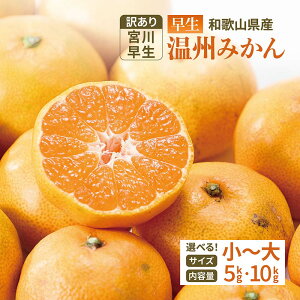 y ݂ 󂠂 5kg 10kg  a̎RY EETCY {쑁 B݂ k ʕ   t[c