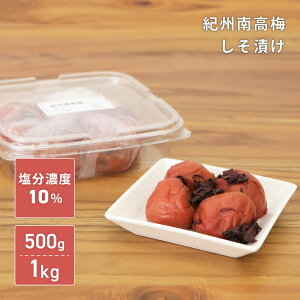 ~ IB썂~ Ђ 500g 1kg 10 󂠂 Y 嗱