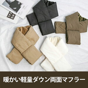 y1+1ǉizyʃ_Eʃ}t[ Jbv ~ yAbN Jbv  H~ h N }t[ ߂ |bJ|J  h  ۉ JWA Y fB[X R