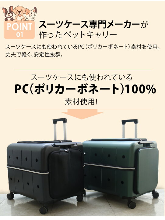 楽天市場】【RETOO公式】☆2025年リニューアル☆ ペットネル ペット 